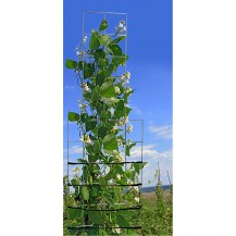 18254 - grip & grow in-situ